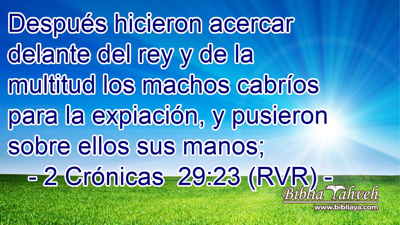 Después hicieron acercar delante del rey y de la multitud los machos cabríos para la expiación, y pusieron sobre ellos sus manos;
