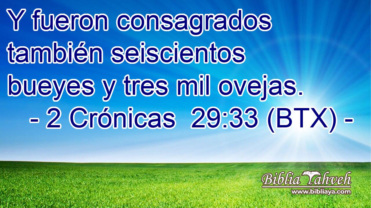 Y fueron consagrados también seiscientos bueyes y tres mil ovejas.