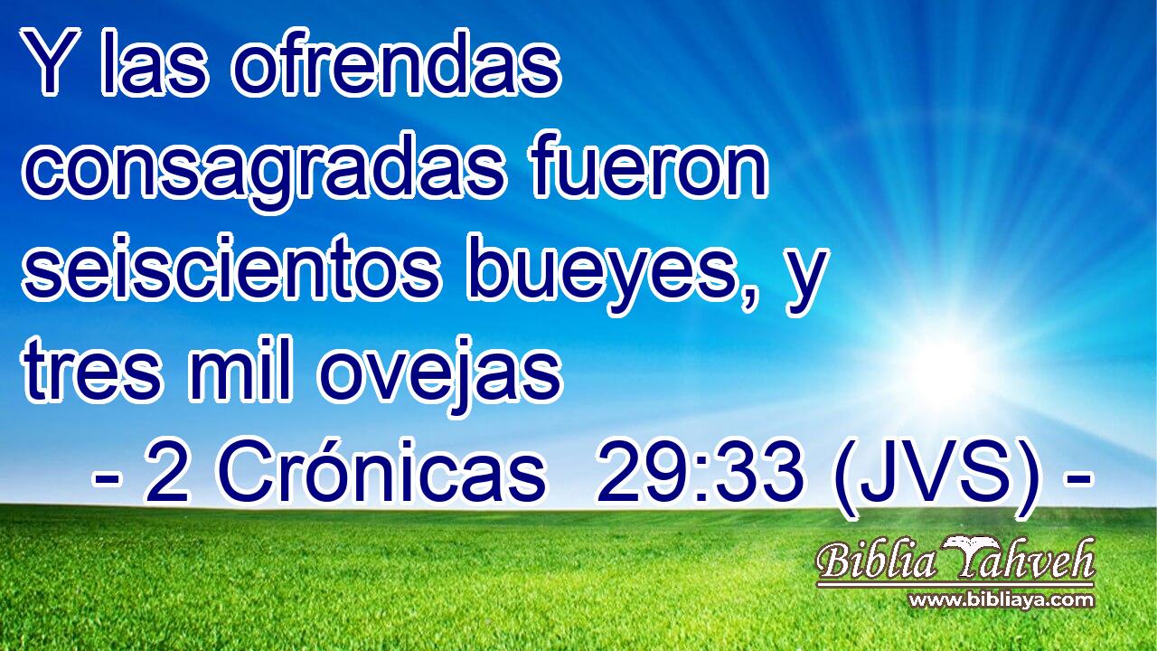 Y las ofrendas consagradas fueron seiscientos bueyes, y tres mil ovejas