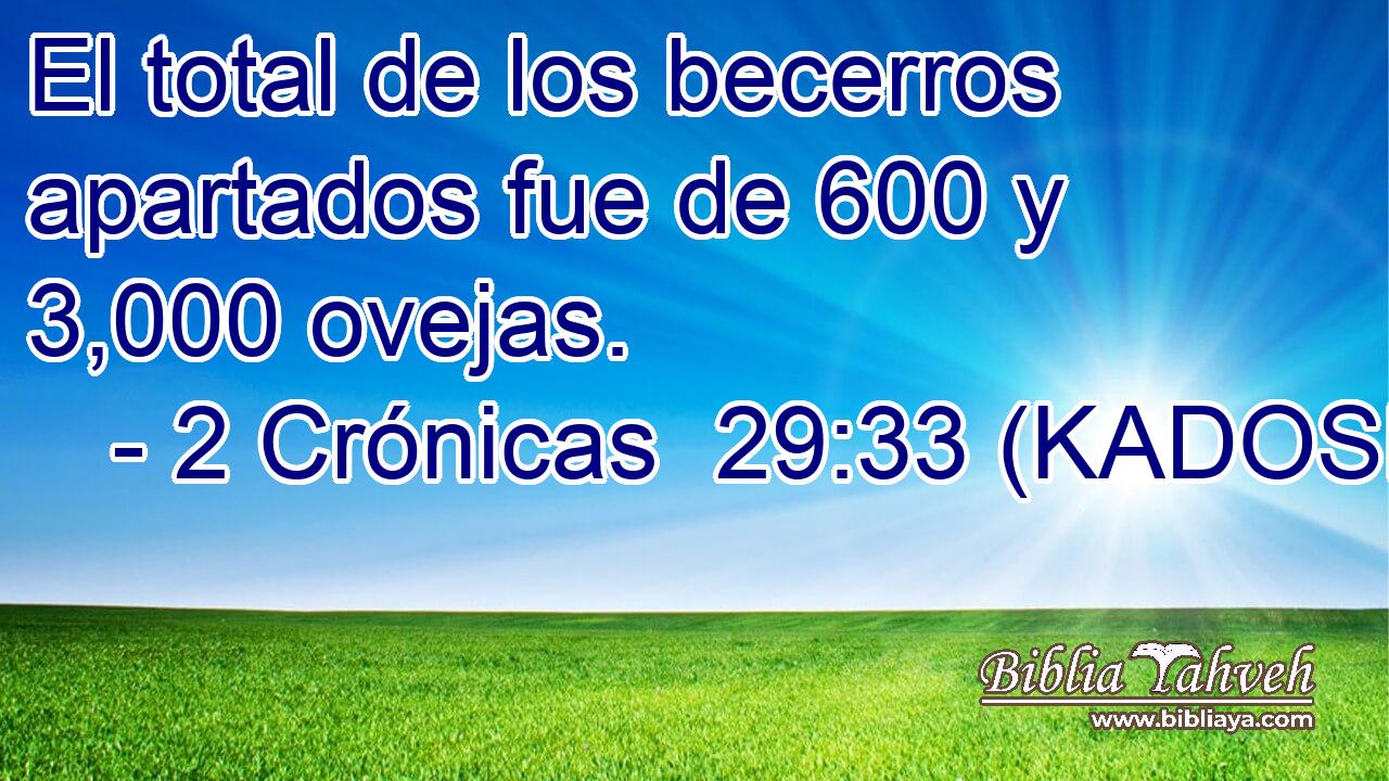  El total de los becerros apartados fue de 600 y 3,000 ovejas. 