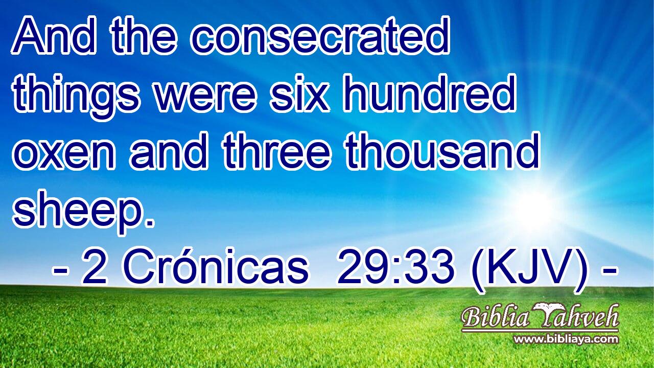 And the consecrated things were six hundred oxen and three thousand sheep.