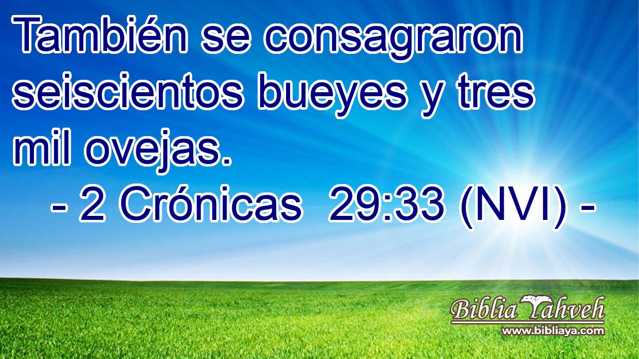  También se consagraron seiscientos bueyes y tres mil ovejas. 