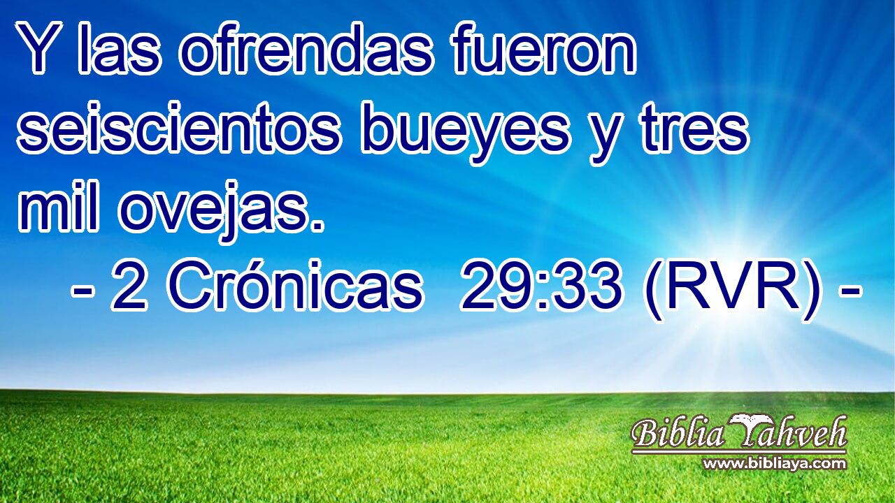 Y las ofrendas fueron seiscientos bueyes y tres mil ovejas.