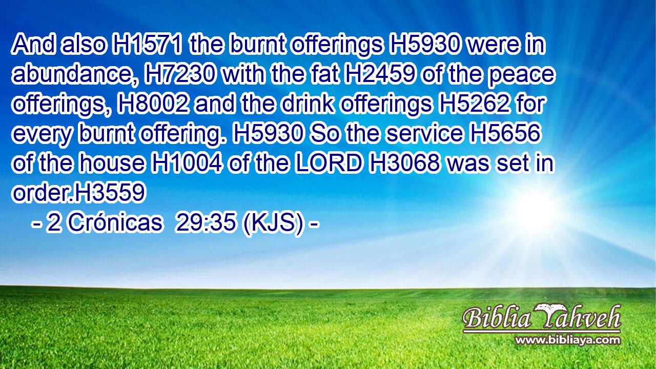 And also H1571 the burnt offerings H5930 were in abundance, H7230 with the fat H2459 of the peace offerings, H8002 and the drink offerings H5262 for every burnt offering. H5930 So the service H5656 of the house H1004 of the LORD H3068 was set in order.H3559