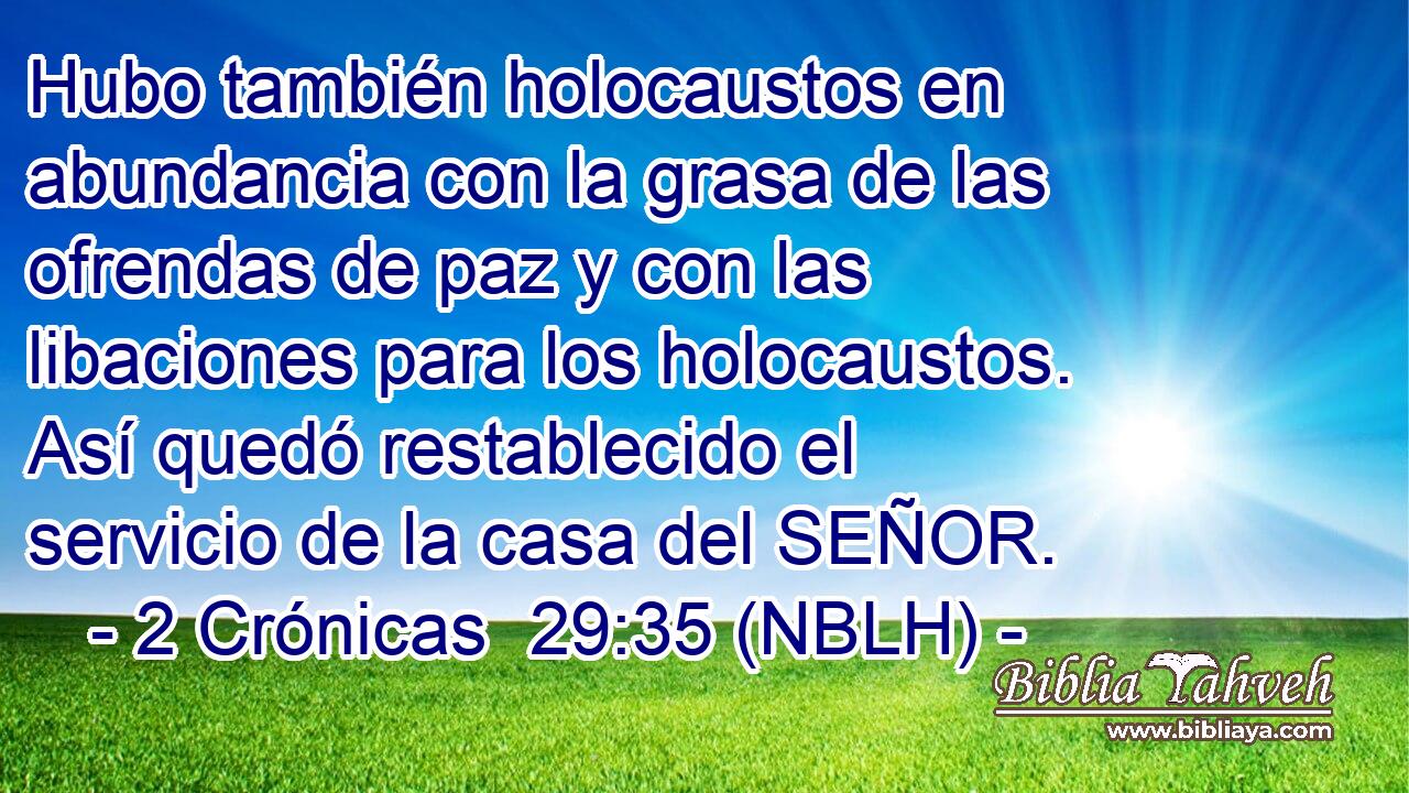  Hubo también holocaustos en abundancia con la grasa de las ofrendas de paz y con las libaciones para los holocaustos. Así quedó restablecido el servicio de la casa del SEÑOR. 