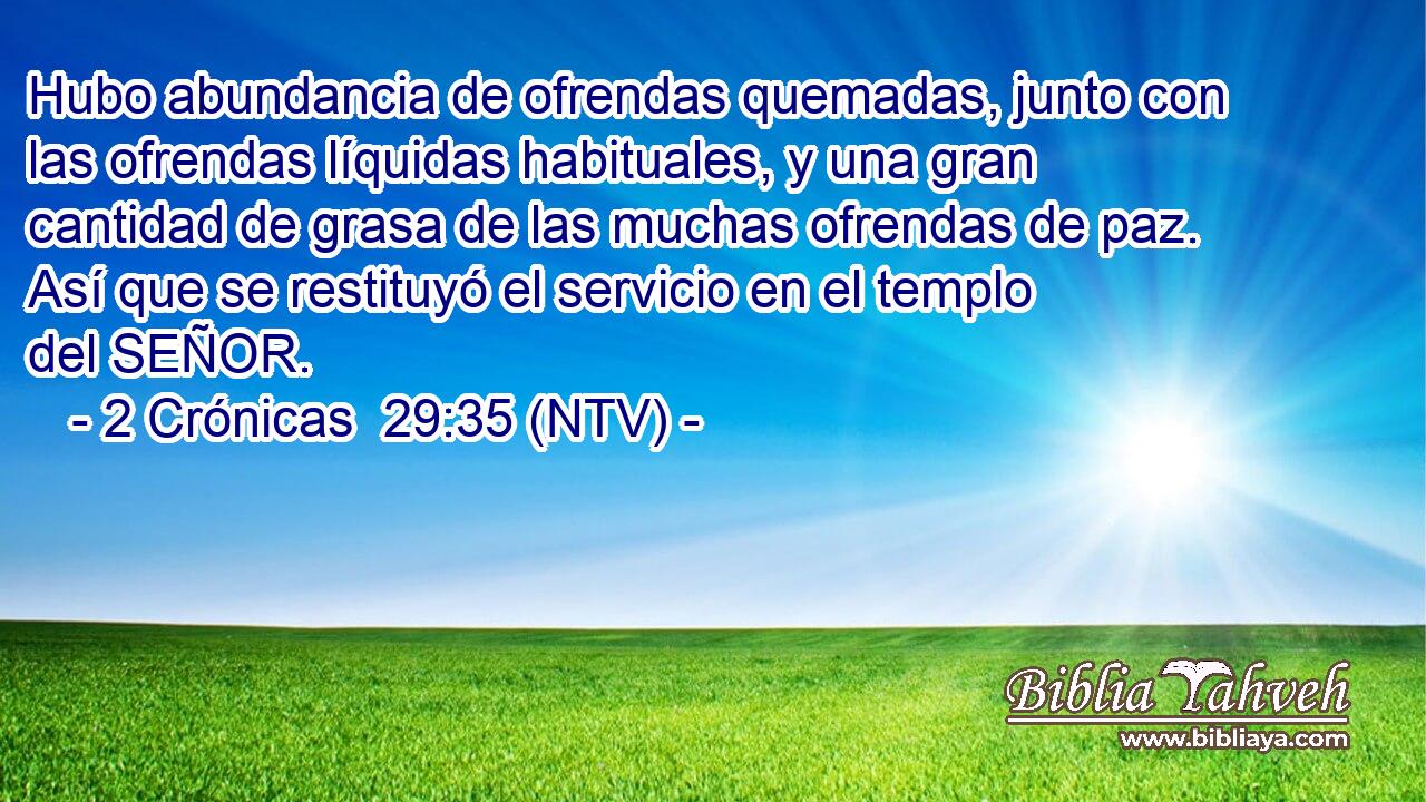 Hubo abundancia de ofrendas quemadas, junto con las ofrendas líquidas habituales, y una gran cantidad de grasa de las muchas ofrendas de paz. Así que se restituyó el servicio en el templo del SEÑOR.