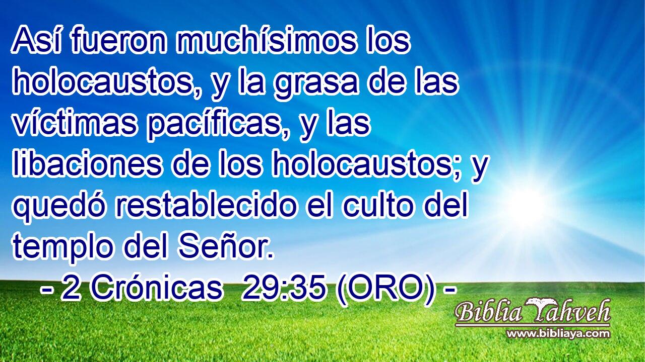  Así fueron muchísimos los holocaustos, y la grasa de las víctimas pacíficas, y las libaciones de los holocaustos; y quedó restablecido el culto del templo del Señor. 