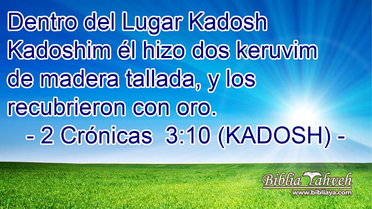  Dentro del Lugar Kadosh Kadoshim él hizo dos keruvim de madera tallada, y los recubrieron con oro. 