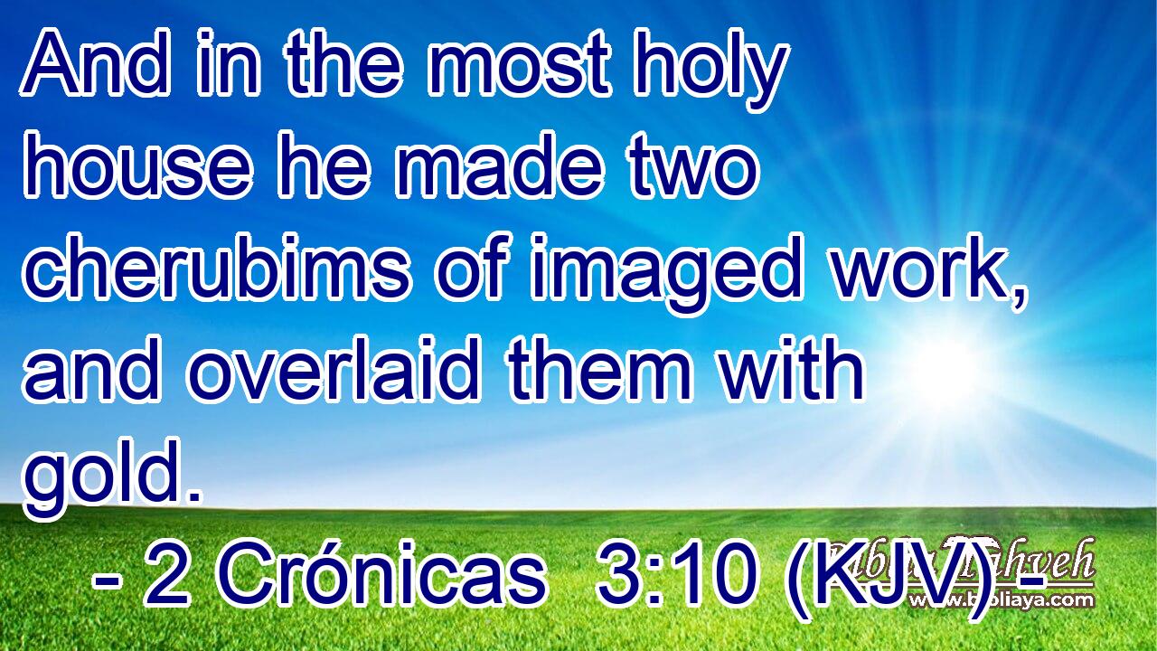 And in the most holy house he made two cherubims of imaged work, and overlaid them with gold.