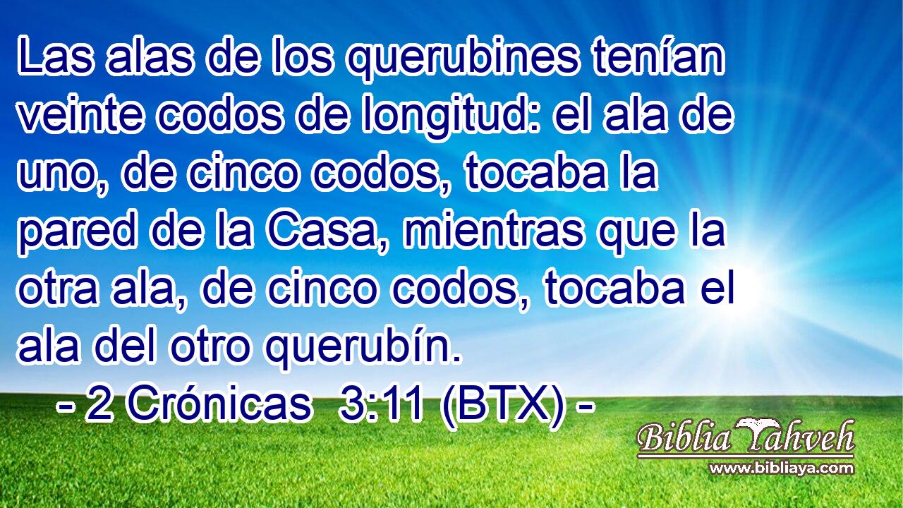 Las alas de los querubines tenían veinte codos de longitud: el ala de uno, de cinco codos, tocaba la pared de la Casa, mientras que la otra ala, de cinco codos, tocaba el ala del otro querubín.