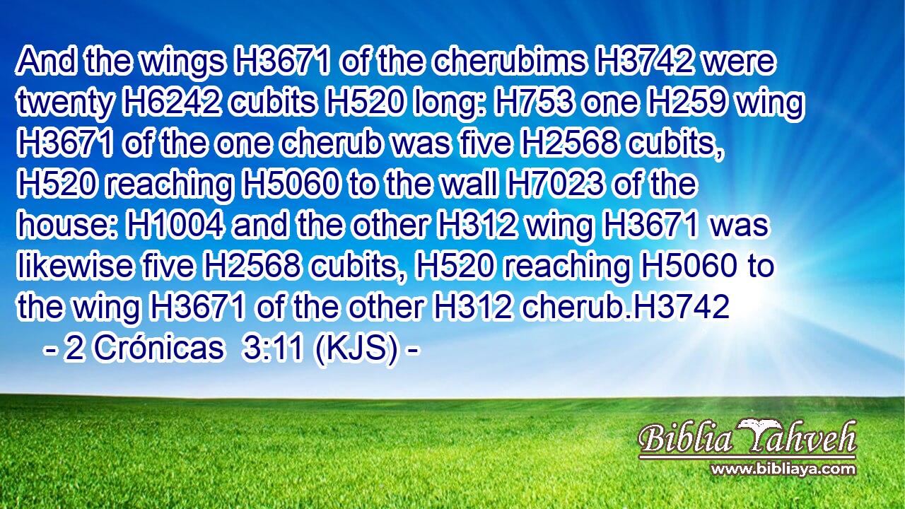 And the wings H3671 of the cherubims H3742 were twenty H6242 cubits H520 long: H753 one H259 wing H3671 of the one cherub was five H2568 cubits, H520 reaching H5060 to the wall H7023 of the house: H1004 and the other H312 wing H3671 was likewise five H2568 cubits, H520 reaching H5060 to the wing H3671 of the other H312 cherub.H3742