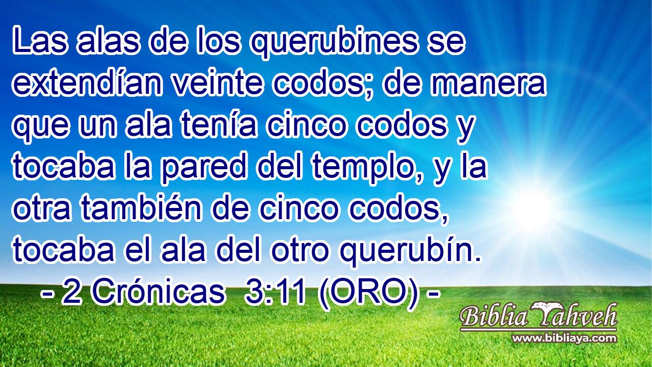  Las alas de los querubines se extendían veinte codos; de manera que un ala tenía cinco codos y tocaba la pared del templo, y la otra también de cinco codos, tocaba el ala del otro querubín. 