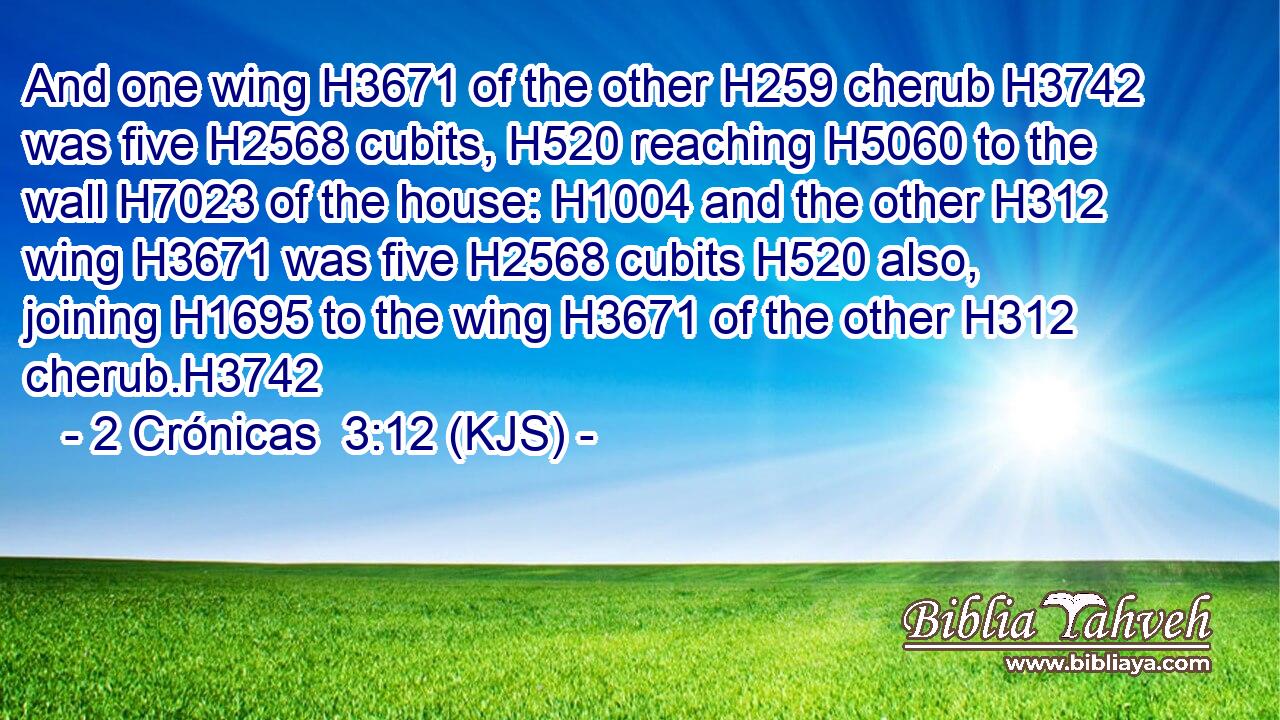 And one wing H3671 of the other H259 cherub H3742 was five H2568 cubits, H520 reaching H5060 to the wall H7023 of the house: H1004 and the other H312 wing H3671 was five H2568 cubits H520 also, joining H1695 to the wing H3671 of the other H312 cherub.H3742