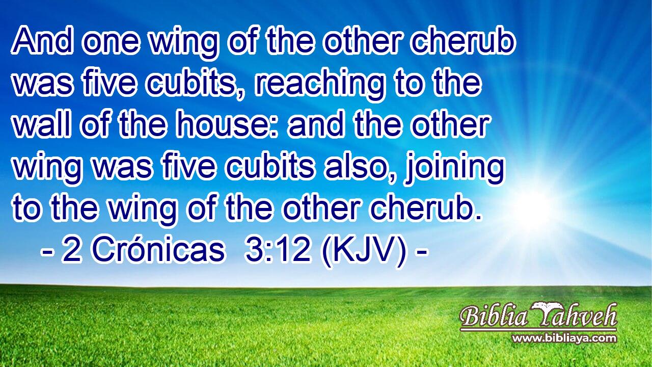 And one wing of the other cherub was five cubits, reaching to the wall of the house: and the other wing was five cubits also, joining to the wing of the other cherub.