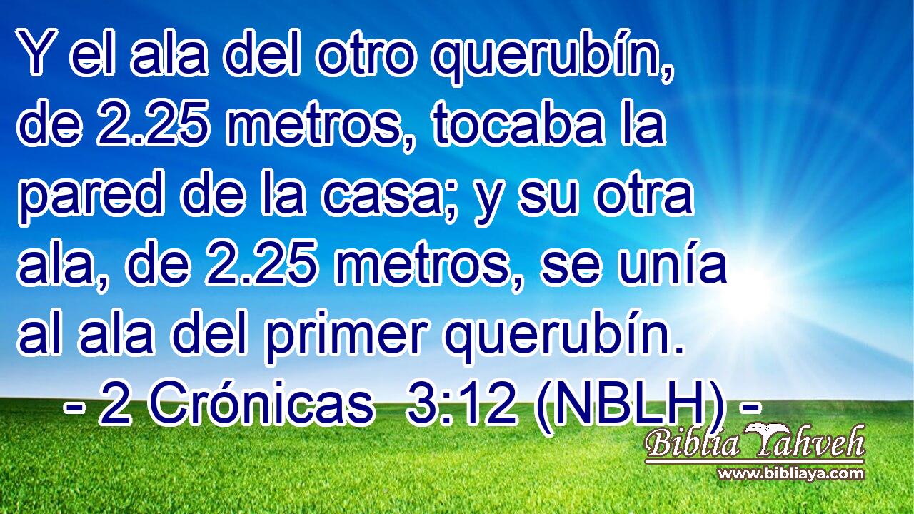  Y el ala del otro querubín, de 2.25 metros, tocaba la pared de la casa; y su otra ala, de 2.25 metros, se unía al ala del primer querubín. 