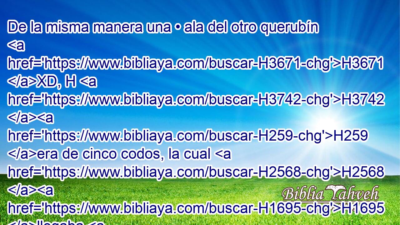 De la misma manera una • ala del otro querubín H3671 XD, H H3742 H259 era de cinco codos, la cual H2568 H1695 llegaba H520  hasta la pared H5060  de la casa, H7023 H y • • H1004 H la otra era H3671 H3742 de cinco H312  codos, que tocaba H2568  el H520 ala del otro querubín. H3671 XD, H 