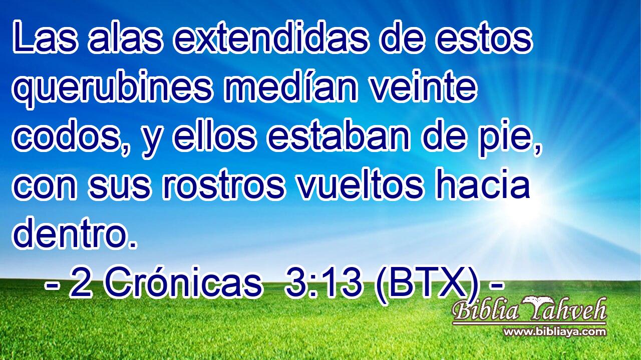 Las alas extendidas de estos querubines medían veinte codos, y ellos estaban de pie, con sus rostros vueltos hacia dentro.