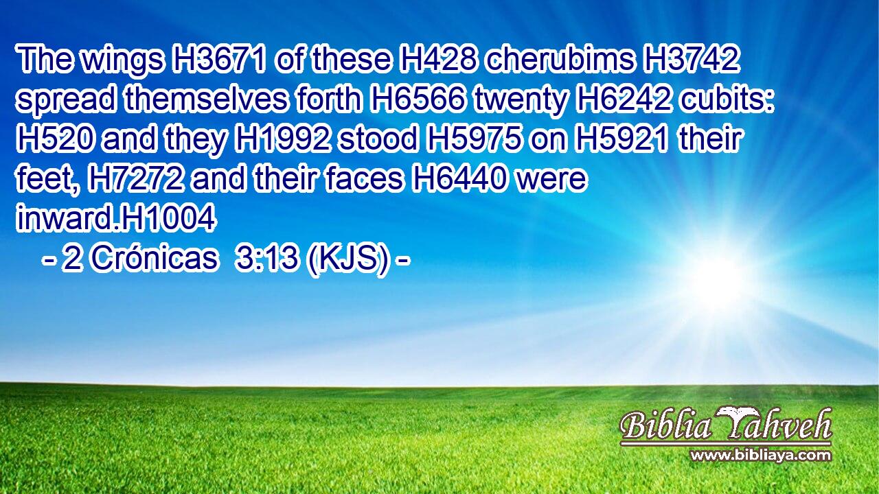 The wings H3671 of these H428 cherubims H3742 spread themselves forth H6566 twenty H6242 cubits: H520 and they H1992 stood H5975 on H5921 their feet, H7272 and their faces H6440 were inward.H1004