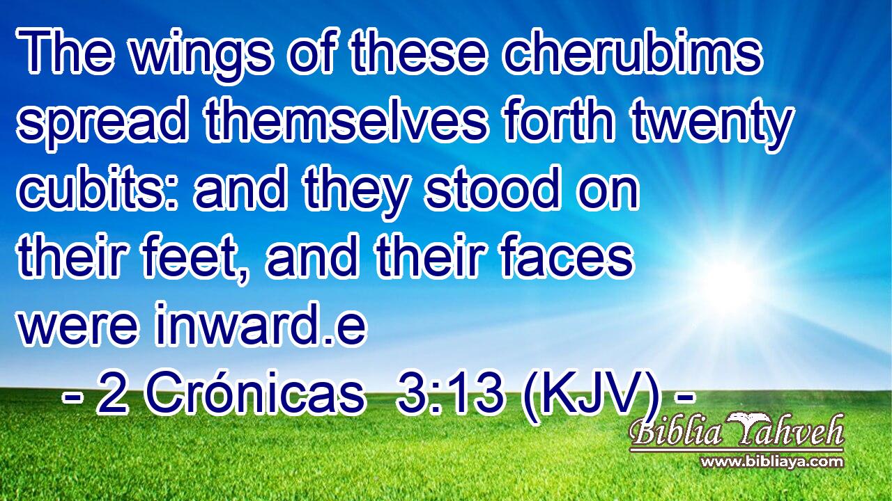 The wings of these cherubims spread themselves forth twenty cubits: and they stood on their feet, and their faces were inward.e