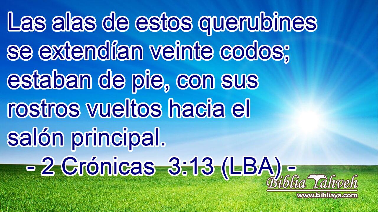 Las alas de estos querubines se extendían veinte codos; estaban de pie, con sus rostros vueltos hacia el salón principal.