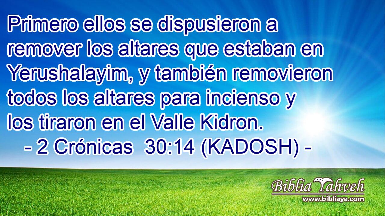  Primero ellos se dispusieron a remover los altares que estaban en Yerushalayim, y también removieron todos los altares para incienso y los tiraron en el Valle Kidron. 