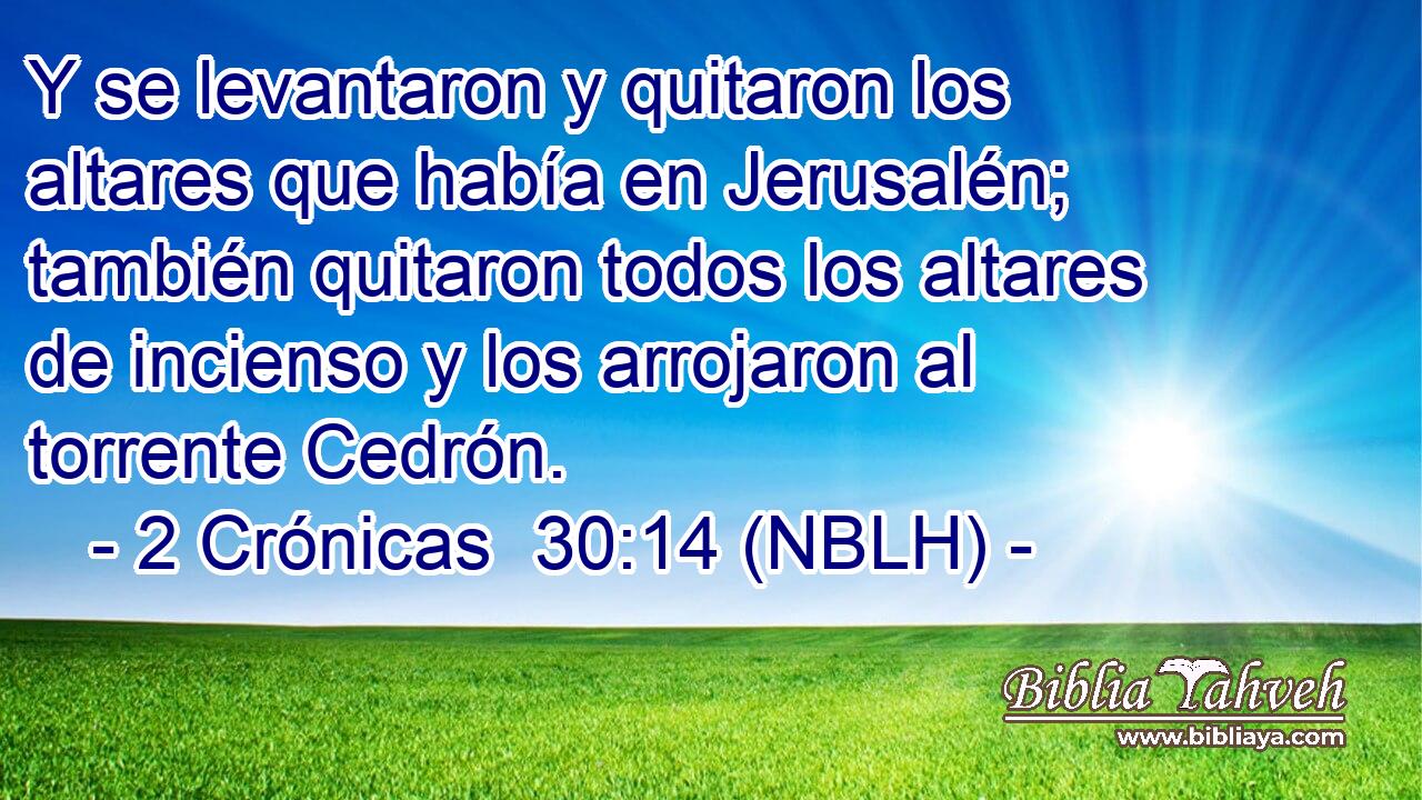  Y se levantaron y quitaron los altares que había en Jerusalén; también quitaron todos los altares de incienso y los arrojaron al torrente Cedrón. 