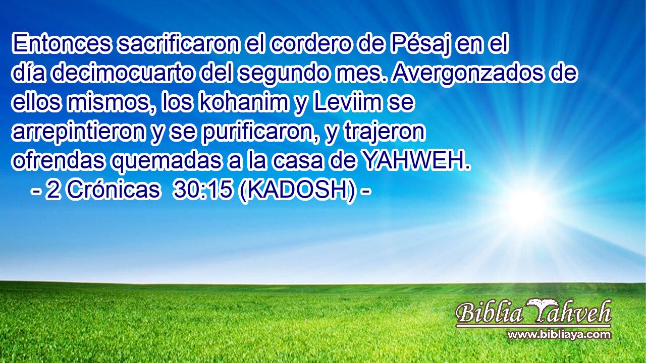  Entonces sacrificaron el cordero de Pésaj en el día decimocuarto del segundo mes. Avergonzados de ellos mismos, los kohanim y Leviim se arrepintieron y se purificaron, y trajeron ofrendas quemadas a la casa de YAHWEH. 