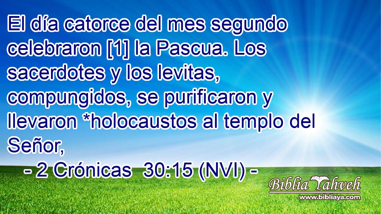  El día catorce del mes segundo celebraron [1] la Pascua. Los sacerdotes y los levitas, compungidos, se purificaron y llevaron *holocaustos al templo del Señor, 