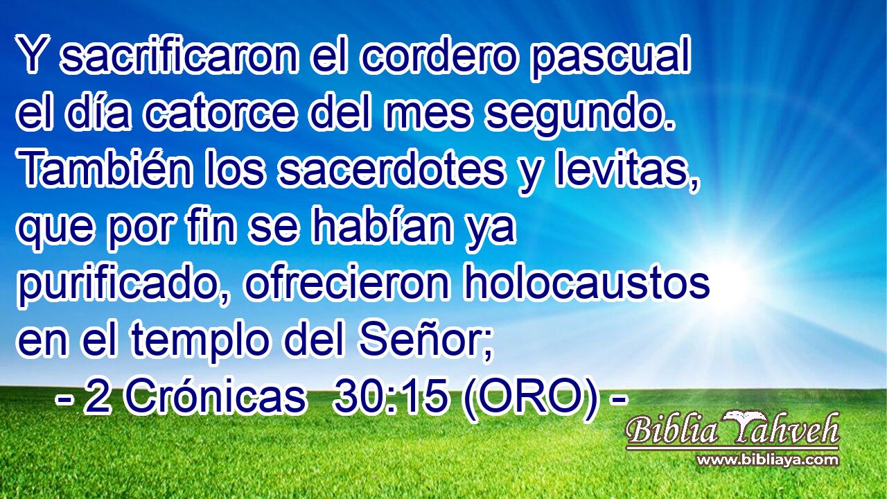  Y sacrificaron el cordero pascual el día catorce del mes segundo. También los sacerdotes y levitas, que por fin se habían ya purificado, ofrecieron holocaustos en el templo del Señor; 