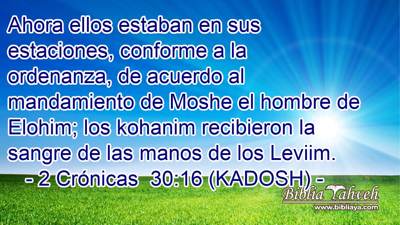  Ahora ellos estaban en sus estaciones, conforme a la ordenanza, de acuerdo al mandamiento de Moshe el hombre de Elohim; los kohanim recibieron la sangre de las manos de los Leviim. 