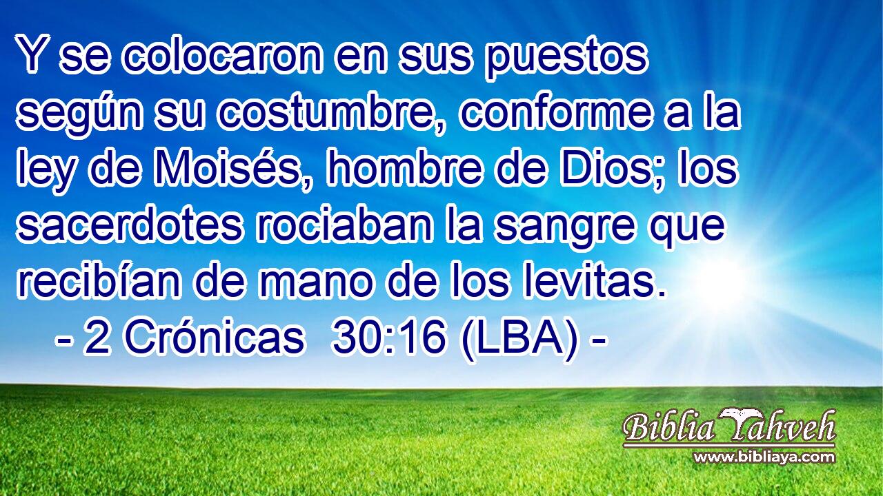 Y se colocaron en sus puestos según su costumbre, conforme a la ley de Moisés, hombre de Dios; los sacerdotes rociaban la sangre que recibían de mano de los levitas.
