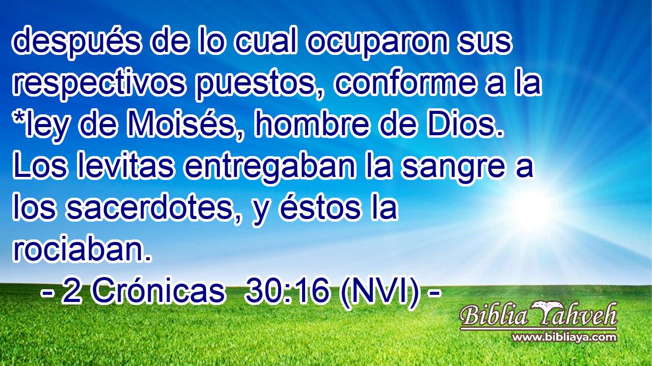  después de lo cual ocuparon sus respectivos puestos, conforme a la *ley de Moisés, hombre de Dios. Los levitas entregaban la sangre a los sacerdotes, y éstos la rociaban. 