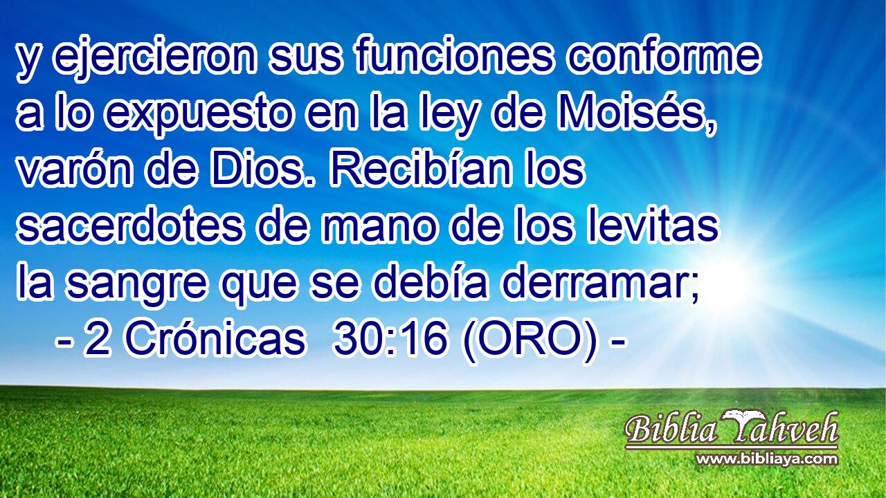  y ejercieron sus funciones conforme a lo expuesto en la ley de Moisés, varón de Dios. Recibían los sacerdotes de mano de los levitas la sangre que se debía derramar; 