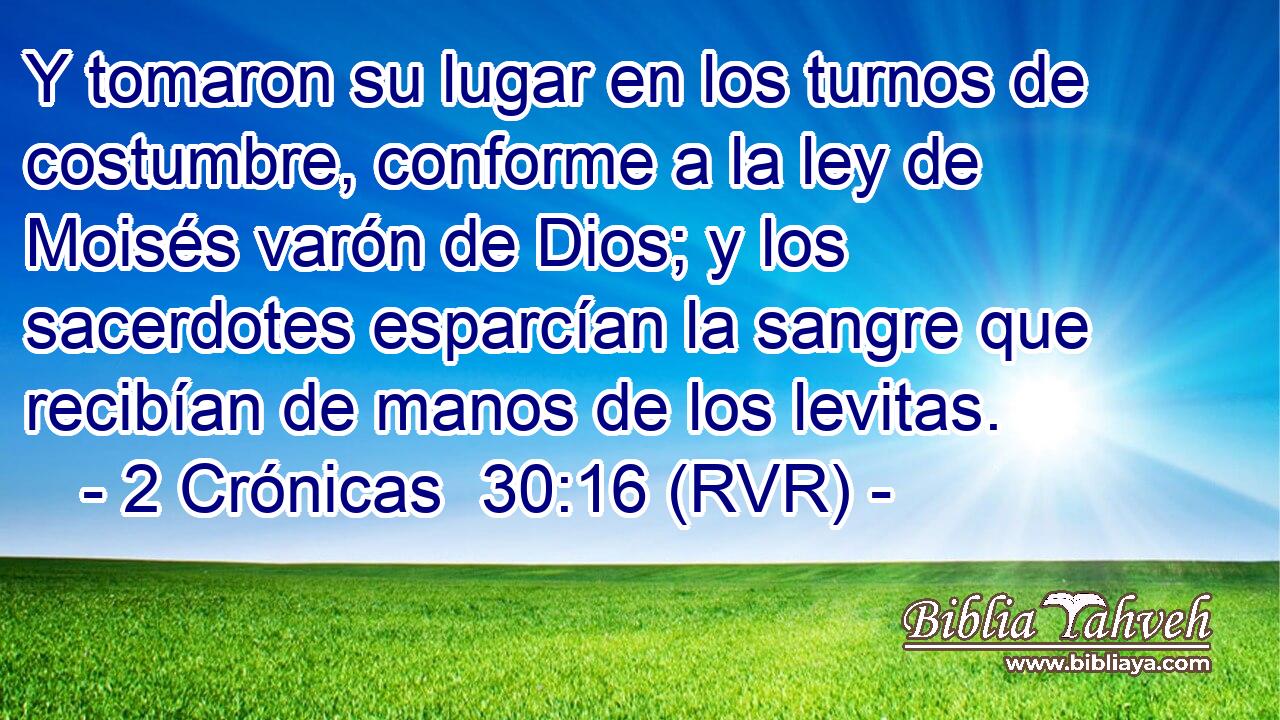 Y tomaron su lugar en los turnos de costumbre, conforme a la ley de Moisés varón de Dios; y los sacerdotes esparcían la sangre que recibían de manos de los levitas.