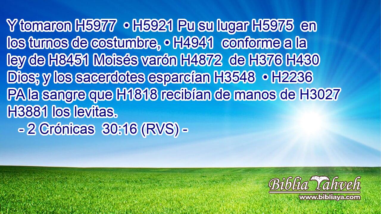 Y tomaron H5977  • H5921 Pu su lugar H5975  en los turnos de costumbre, • H4941  conforme a la ley de H8451 Moisés varón H4872  de H376 H430 Dios; y los sacerdotes esparcían H3548  • H2236 PA la sangre que H1818 recibían de manos de H3027 H3881 los levitas. 