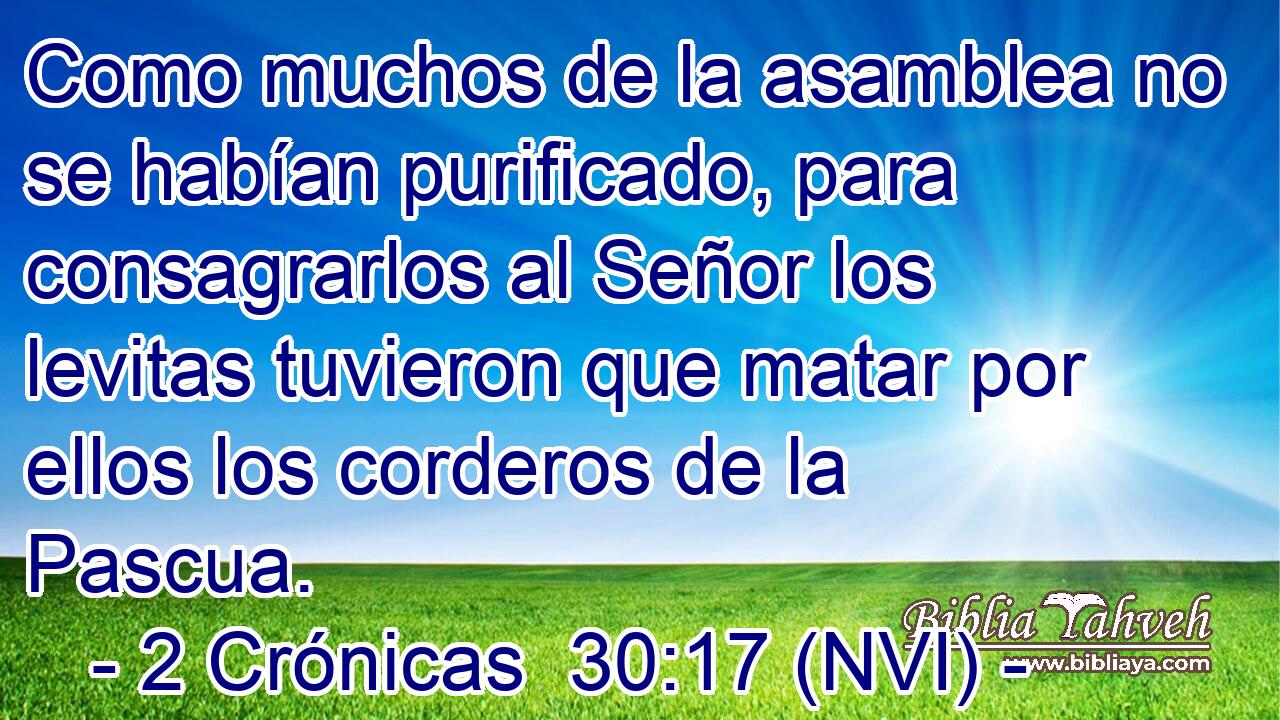  Como muchos de la asamblea no se habían purificado, para consagrarlos al Señor los levitas tuvieron que matar por ellos los corderos de la Pascua. 