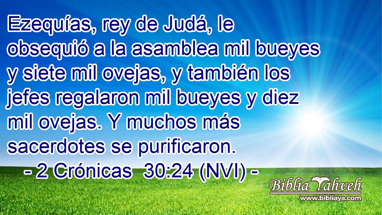 Ezequías, rey de Judá, le obsequió a la asamblea mil bueyes y siete mil ovejas, y también los jefes regalaron mil bueyes y diez mil ovejas. Y muchos más sacerdotes se purificaron. 