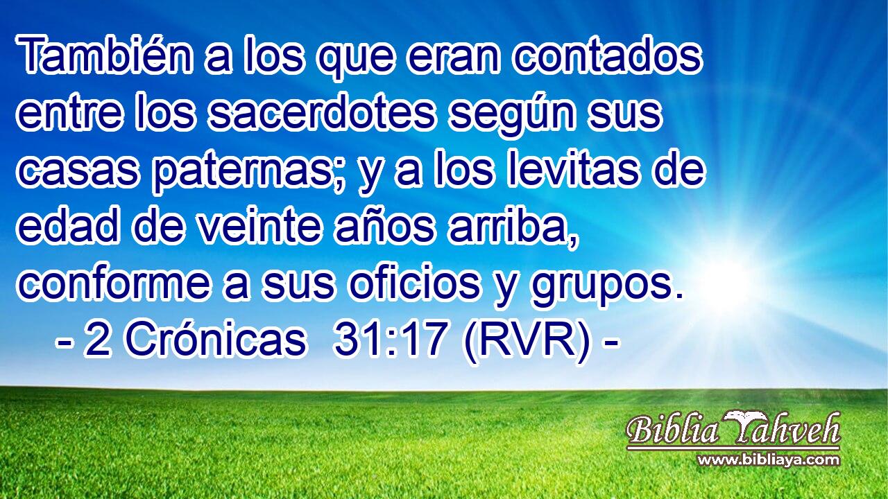 También a los que eran contados entre los sacerdotes según sus casas paternas; y a los levitas de edad de veinte años arriba, conforme a sus oficios y grupos.