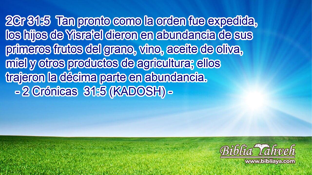  Tan pronto como la orden fue expedida, los hijos de Yisra'el dieron en abundancia de sus primeros frutos del grano, vino, aceite de oliva, miel y otros productos de agricultura; ellos trajeron la décima parte en abundancia. 