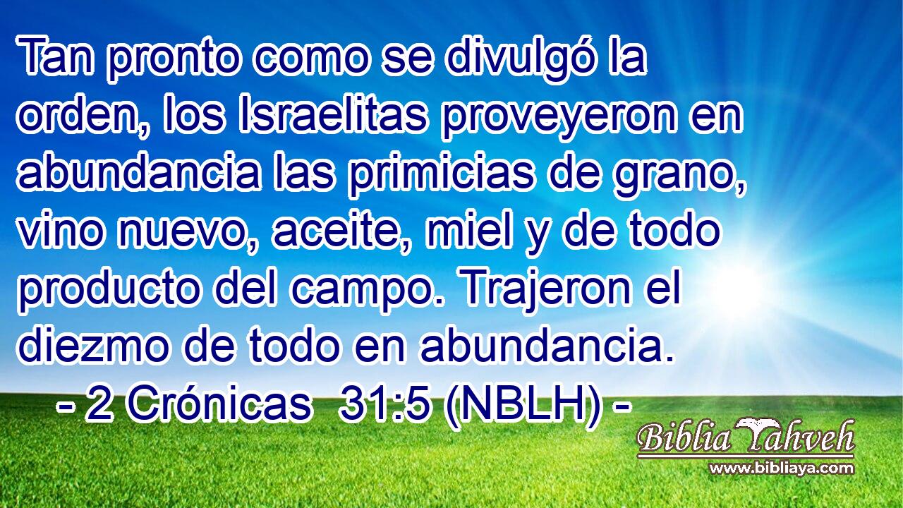  Tan pronto como se divulgó la orden, los Israelitas proveyeron en abundancia las primicias de grano, vino nuevo, aceite, miel y de todo producto del campo. Trajeron el diezmo de todo en abundancia. 