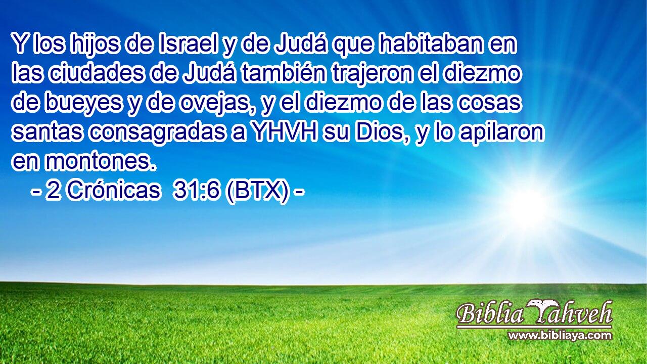 Y los hijos de Israel y de Judá que habitaban en las ciudades de Judá también trajeron el diezmo de bueyes y de ovejas, y el diezmo de las cosas santas consagradas a YHVH su Dios, y lo apilaron en montones.
