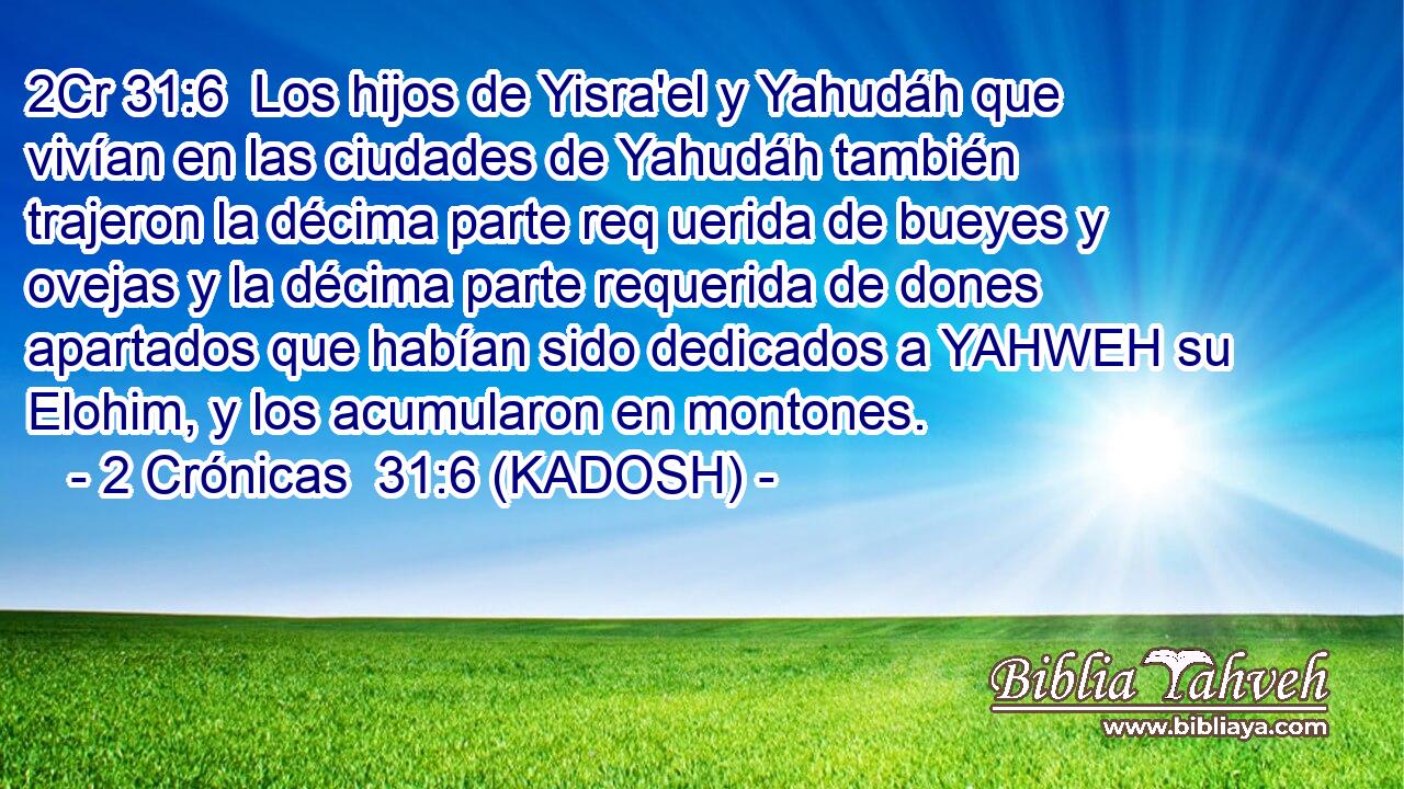  Los hijos de Yisra'el y Yahudáh que vivían en las ciudades de Yahudáh también trajeron la décima parte req uerida de bueyes y ovejas y la décima parte requerida de dones apartados que habían sido dedicados a YAHWEH su Elohim, y los acumularon en montones. 