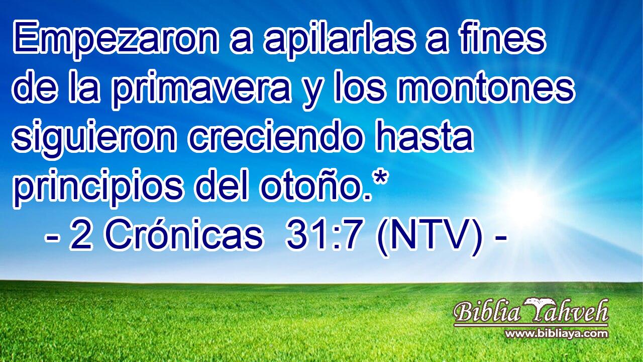 Empezaron a apilarlas a fines de la primavera y los montones siguieron creciendo hasta principios del otoño.*