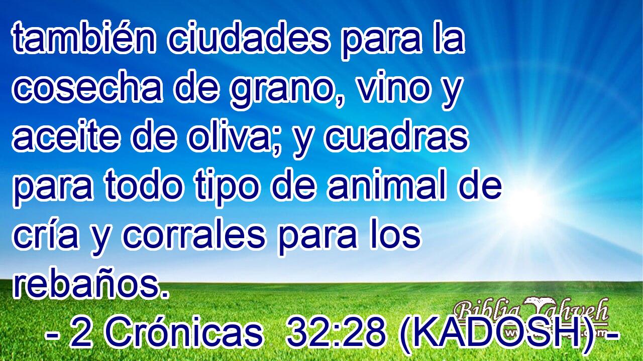  también ciudades para la cosecha de grano, vino y aceite de oliva; y cuadras para todo tipo de animal de cría y corrales para los rebaños. 