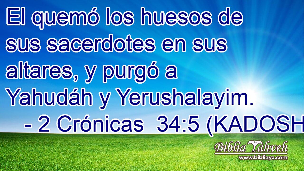  El quemó los huesos de sus sacerdotes en sus altares, y purgó a Yahudáh y Yerushalayim. 