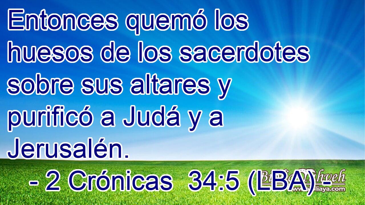 Entonces quemó los huesos de los sacerdotes sobre sus altares y purificó a Judá y a Jerusalén.
