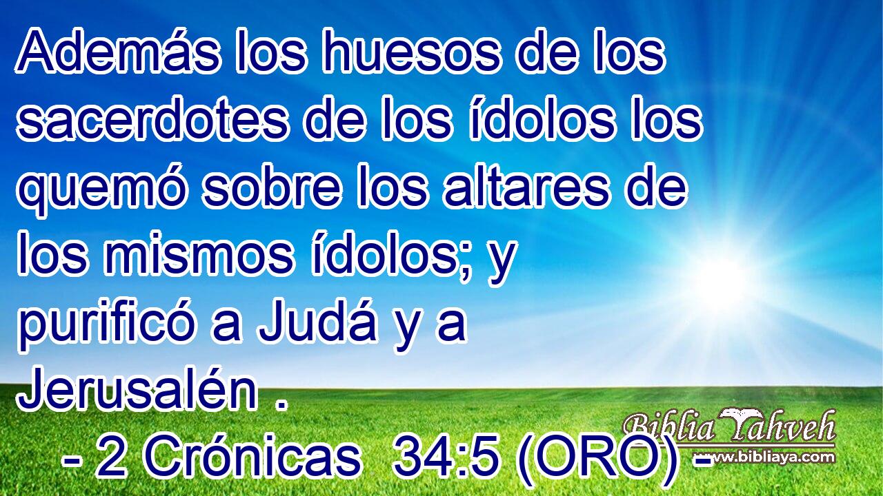  Además los huesos de los sacerdotes de los ídolos los quemó sobre los altares de los mismos ídolos; y purificó a Judá y a Jerusalén . 