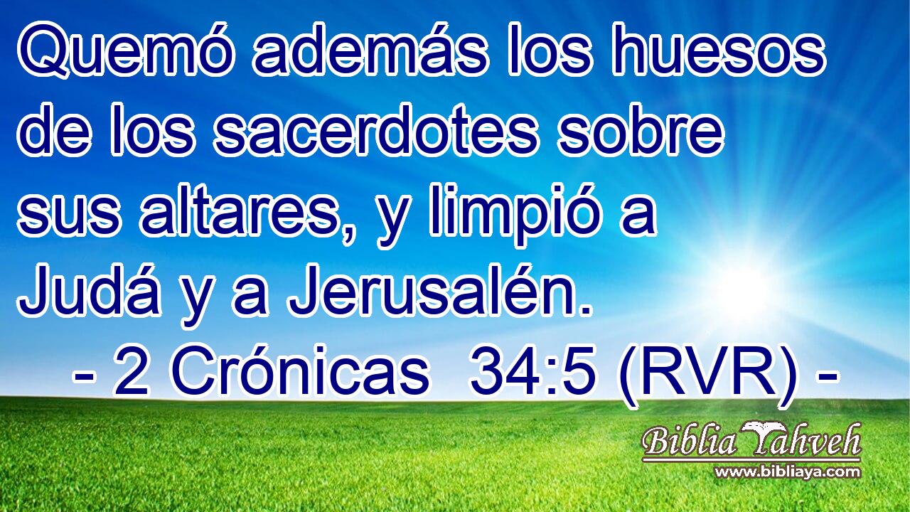 Quemó además los huesos de los sacerdotes sobre sus altares, y limpió a Judá y a Jerusalén.