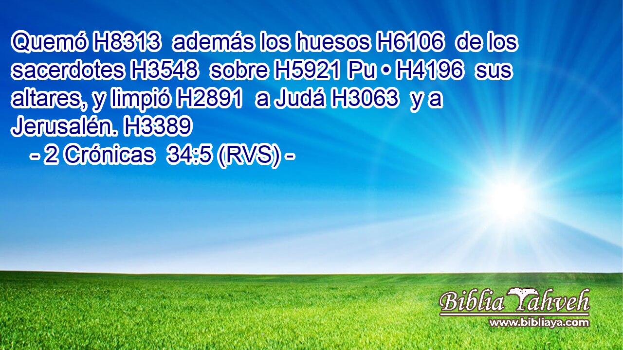Quemó H8313  además los huesos H6106  de los sacerdotes H3548  sobre H5921 Pu • H4196  sus altares, y limpió H2891  a Judá H3063  y a Jerusalén. H3389  