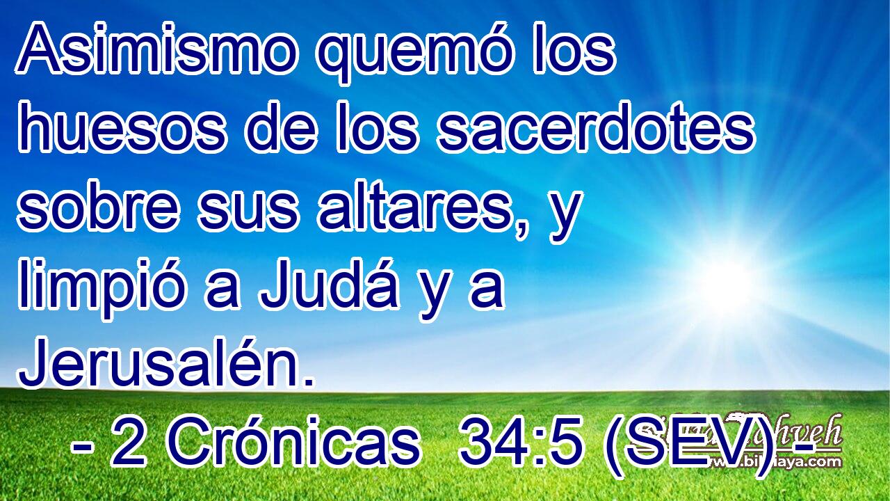 Asimismo quemó los huesos de los sacerdotes sobre sus altares, y limpió a Judá y a Jerusalén.